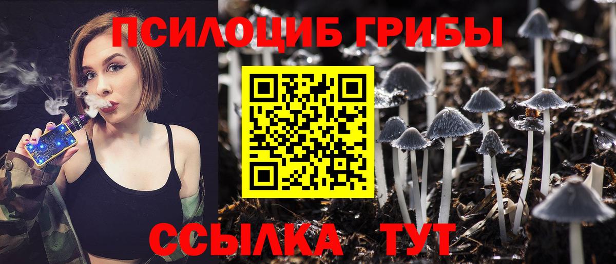 Псилоцибиновые грибы ЛСД Чистополь