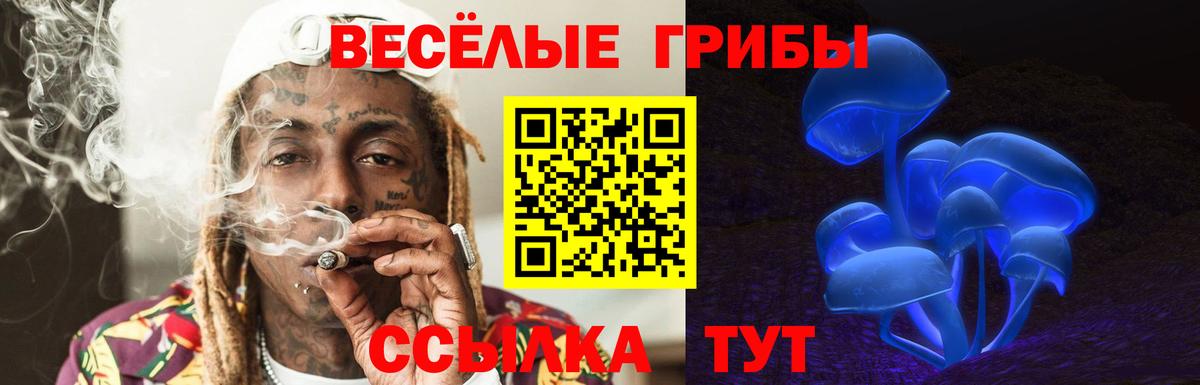 Галлюциногенные грибы мухоморы  Вход с VPN  наркошоп  Чистополь  Галлюциногенные грибы Psilocybine cubensis 